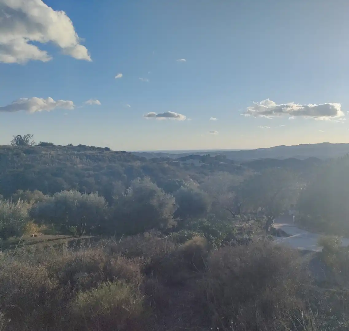 Terreni e lotti in vendita a Urbanizacion Arrieta de los Pilones 81, imagen 2