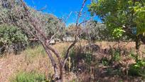 Casa o xalet en venda en Benicarló amb Jardí privat, Traster i Alarma