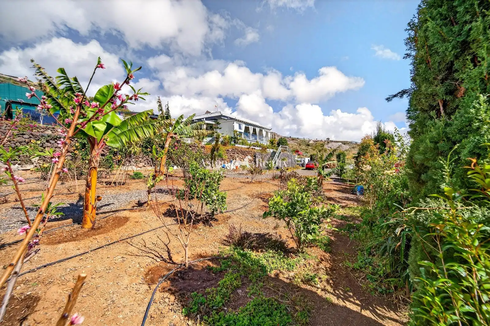 Maison avec piscine à vendre à Los Tomateros, imagen 40