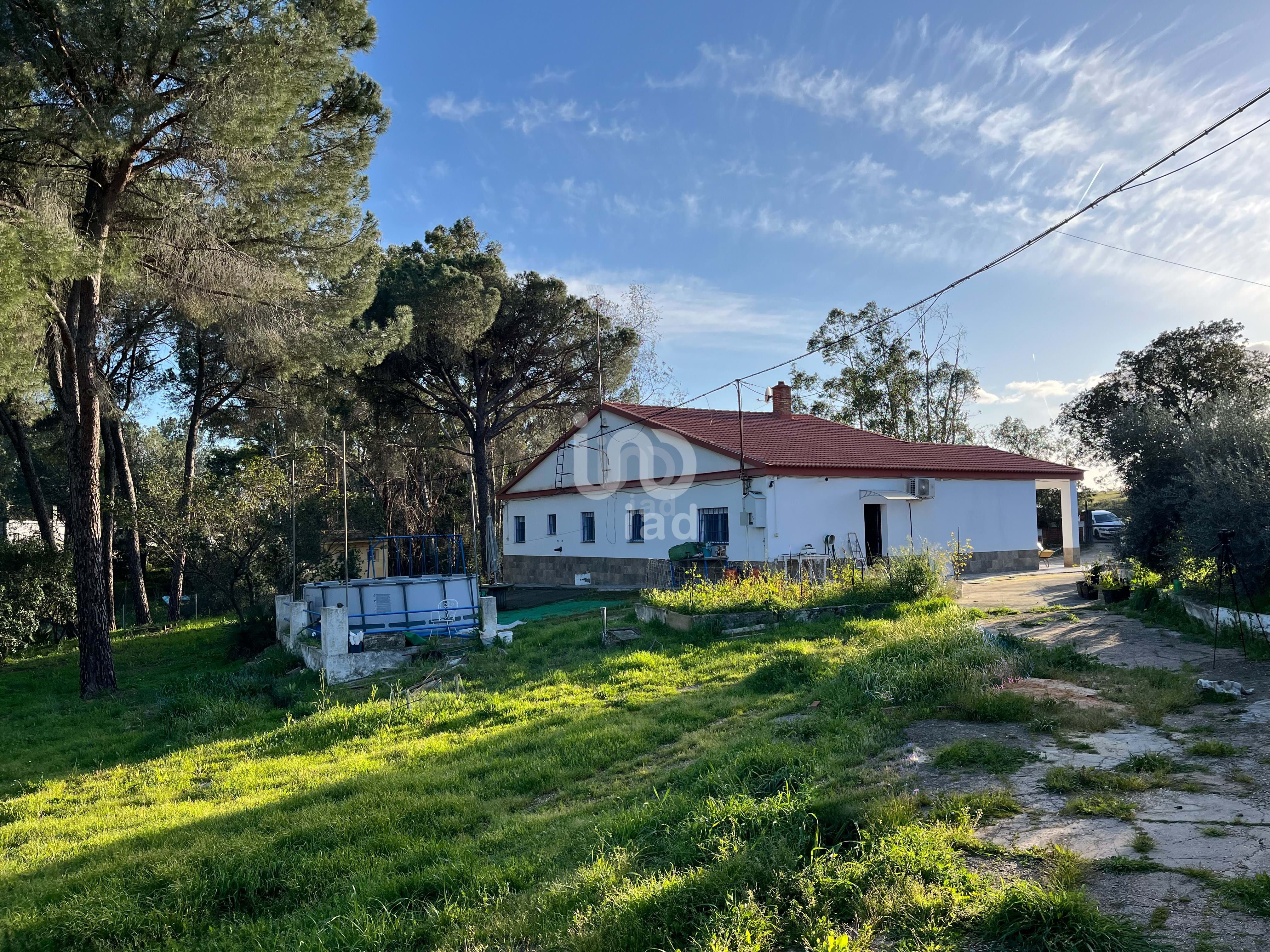 Vista exterior de Casa o xalet en venda en Beas amb Aire condicionat, Calefacció i Terrassa