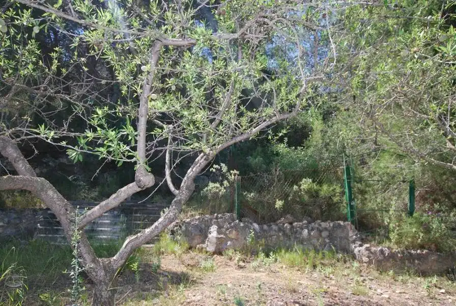 Casa o xalet en venda a Casinos