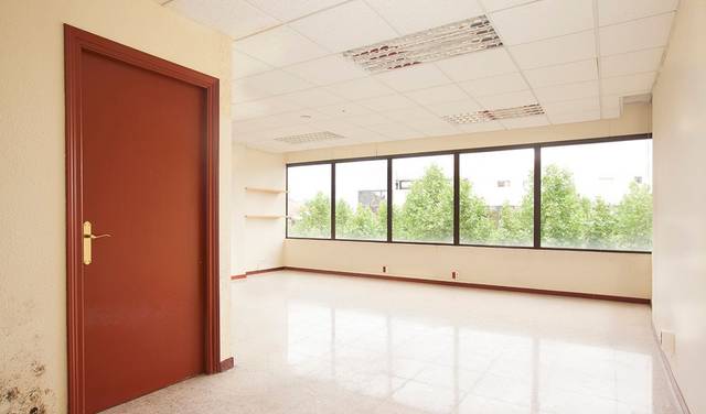 Oficina en Alquiler en  DE LAS PALMERAS, 6 en Centre