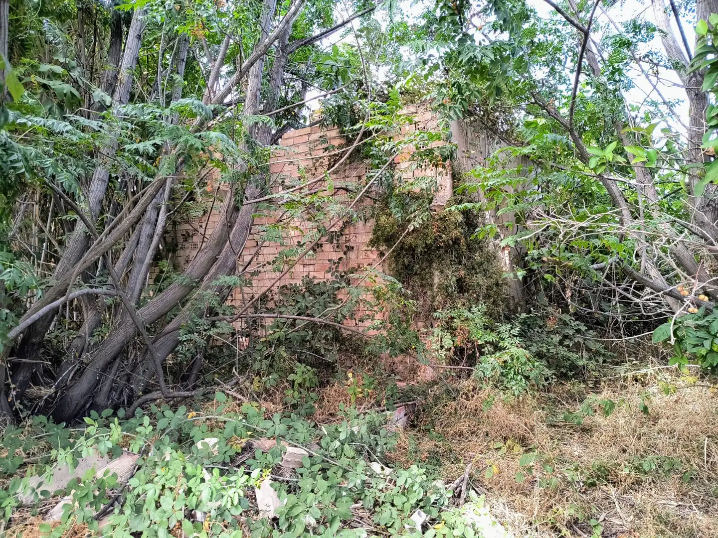 Terrenys i solars en venda a Pedanías Oeste, imagen 4