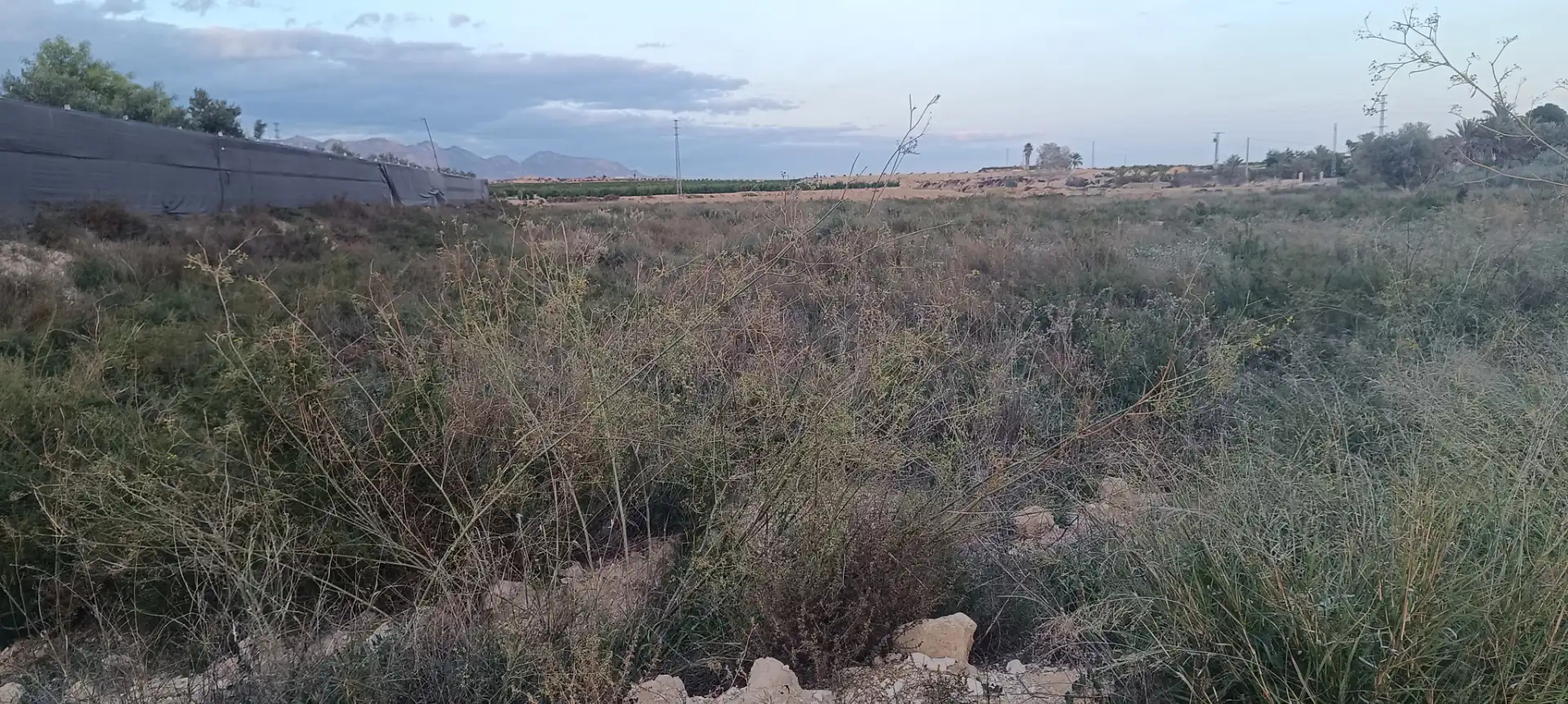 Finca rústica en venda en Elche / Elx amb Jardí privat
