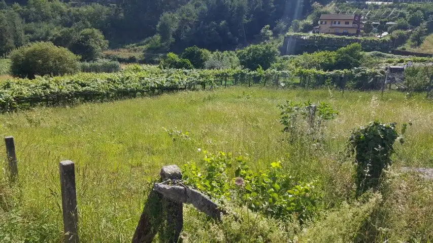 Terreni e lotti in vendita a Parroquias Rurales, imagen 3