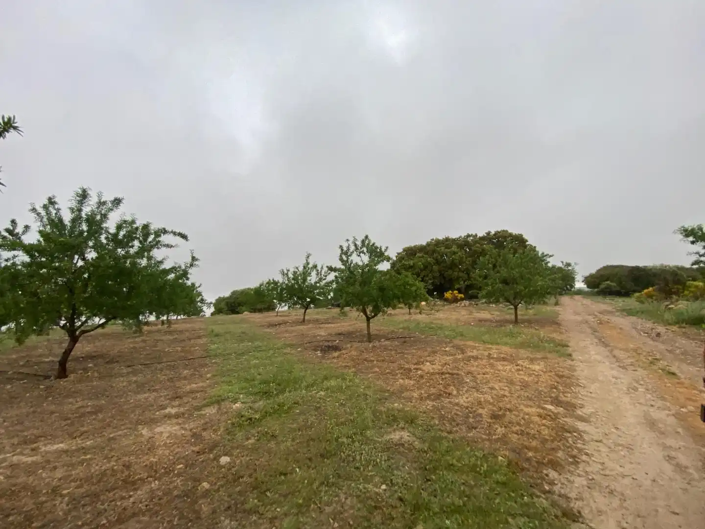 Terreni e lotti in vendita a Guadahortuna, imagen 36
