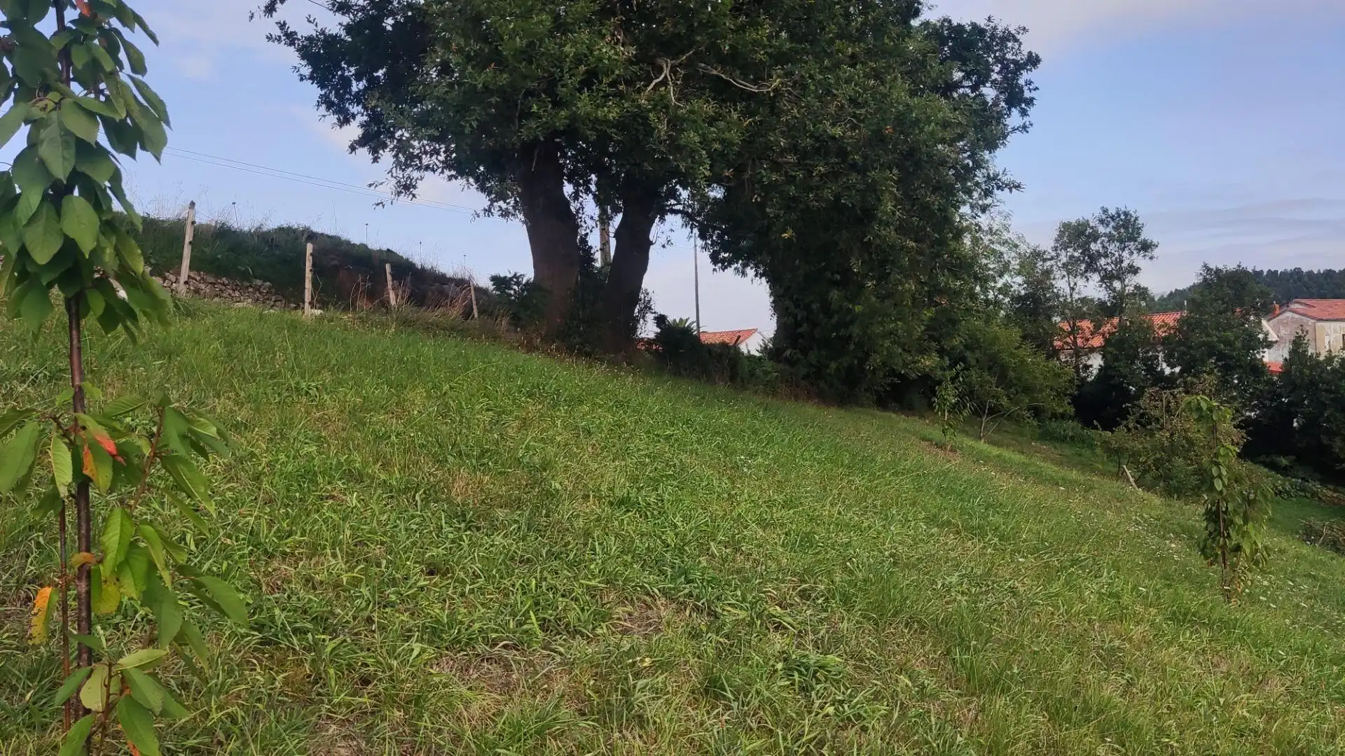 Terreno residenziale in vendita a Cartes, imagen 4