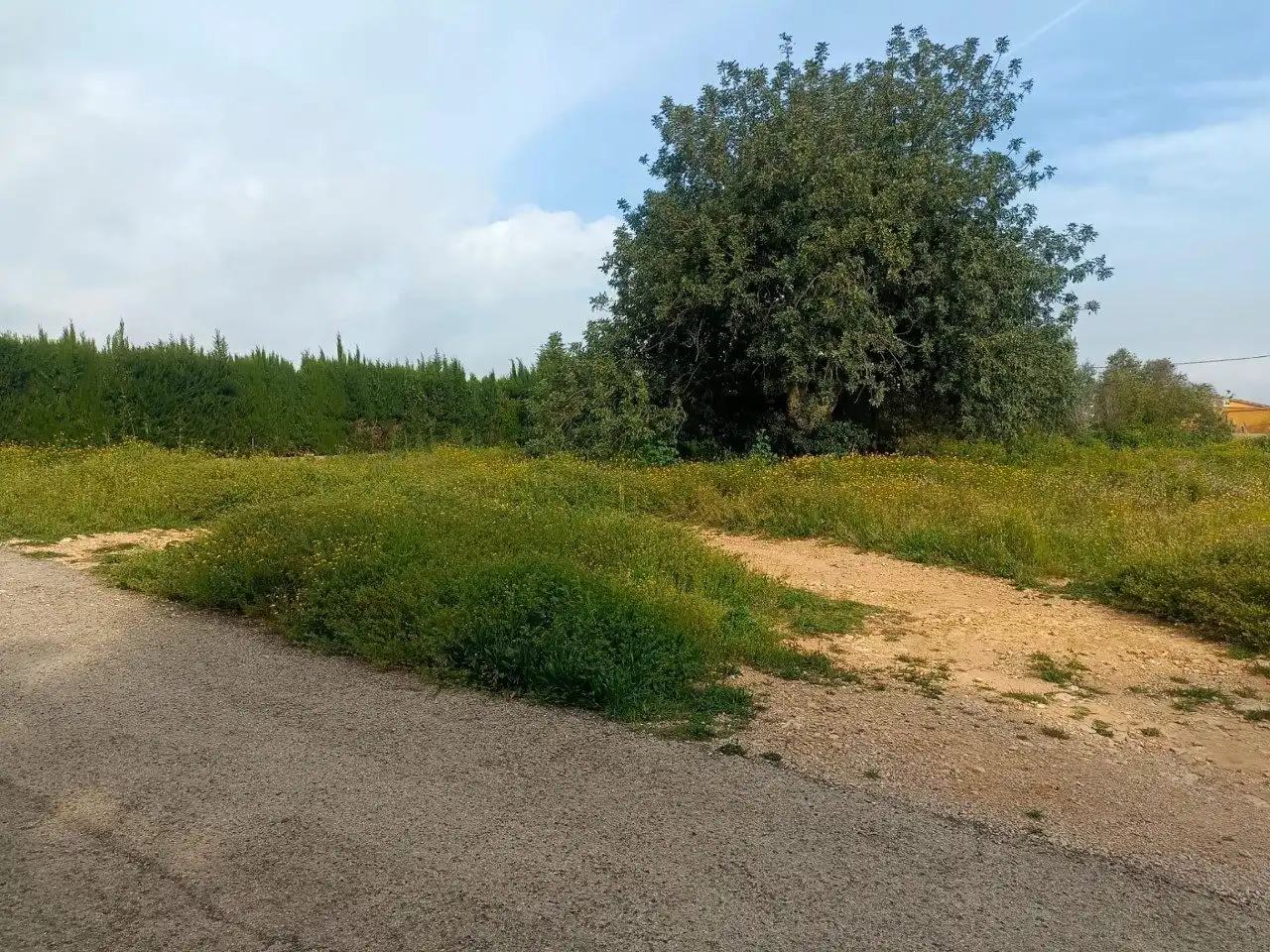 Residential land for sale in C. Charcos Secos, imagen 14