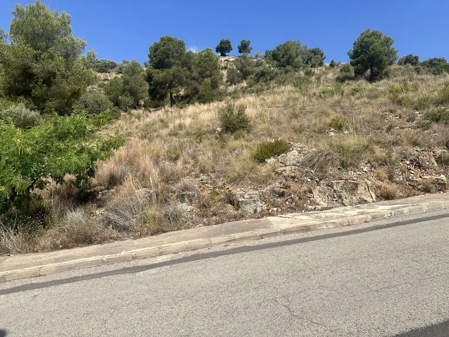 Wohnbaugrundstück zum Verkauf in Algar de Palància, imagen 14
