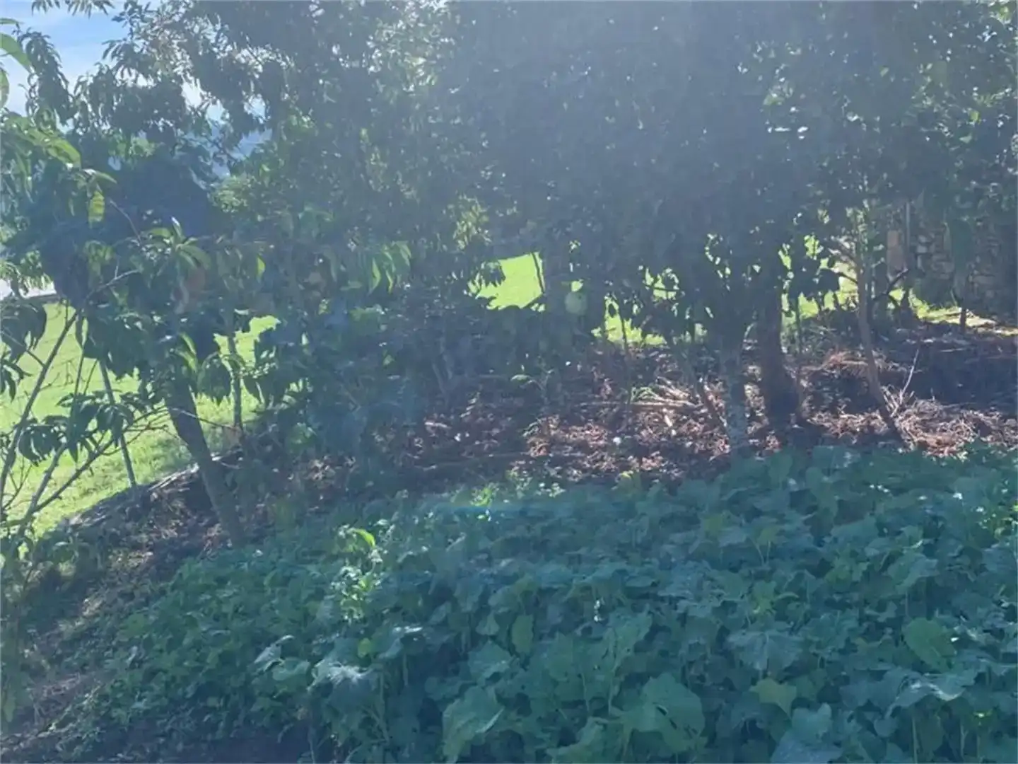 Casa adosada en venda en Viana do Bolo amb Jardí privat, Traster i Moblat