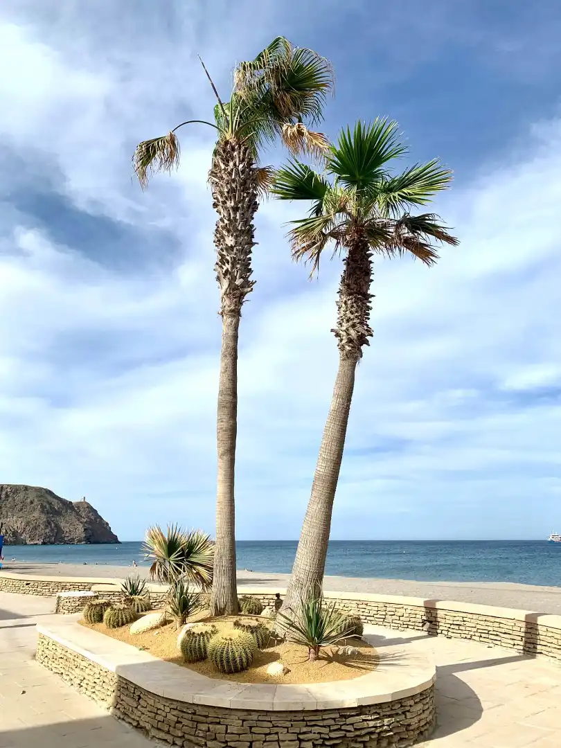 Mini appartamento in vendita a Calle Bajada del Mar 34, imagen 18