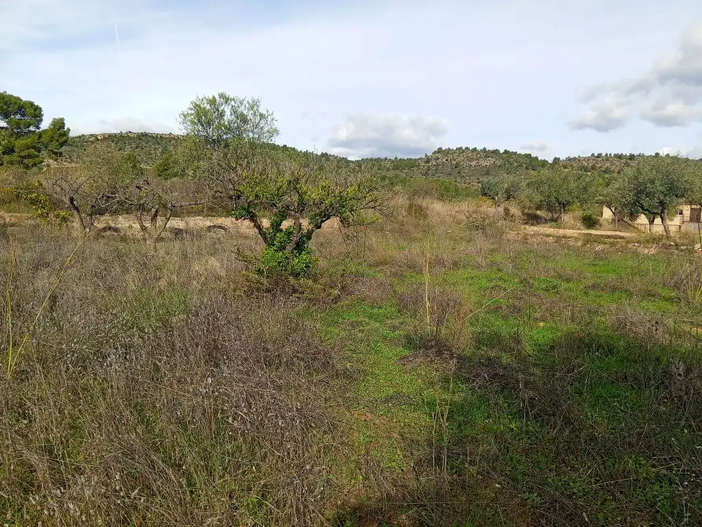 Country homes for sale in Calles