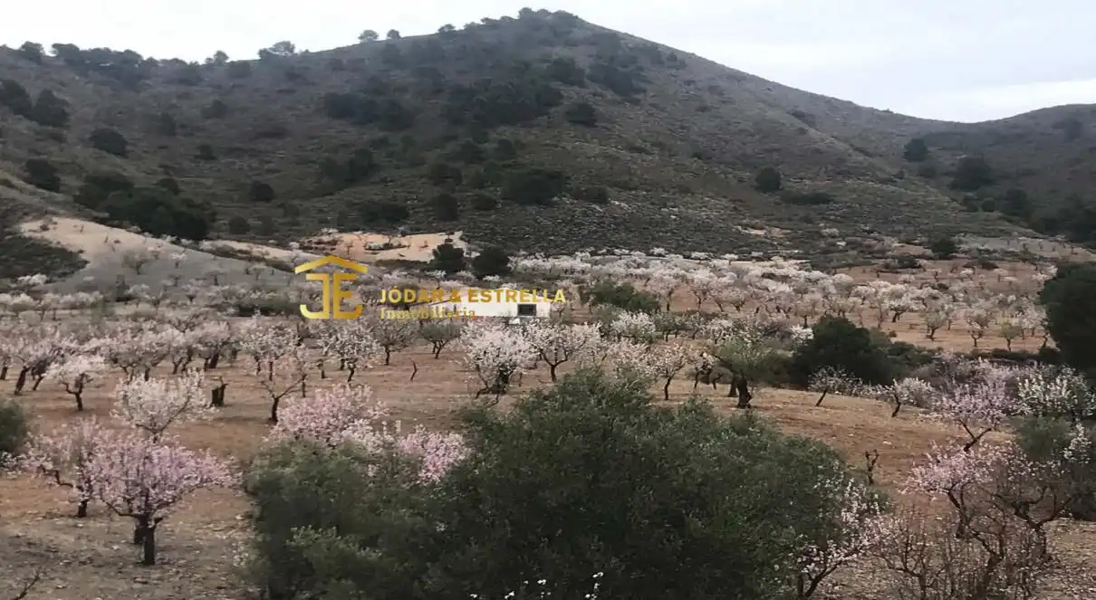 Casa o xalet en venda a Carrasquilla