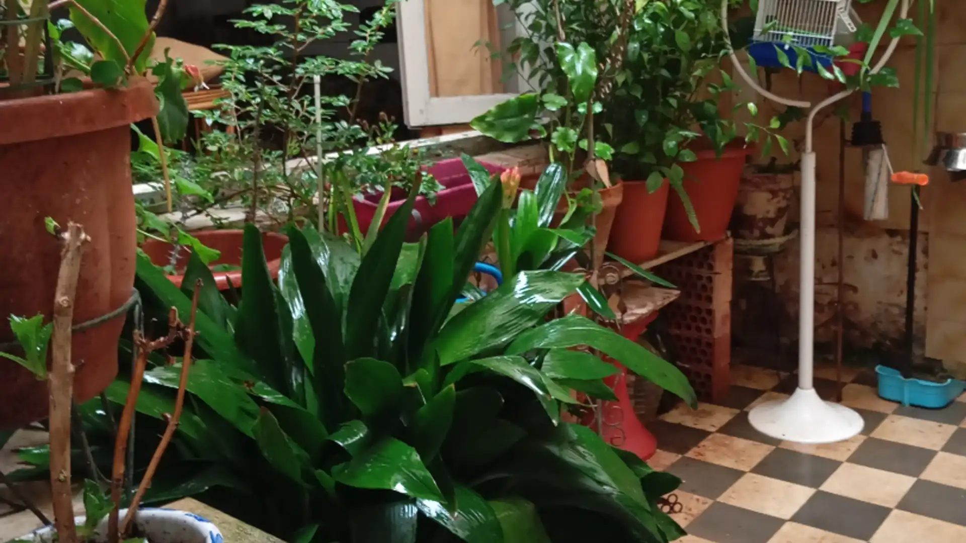 Garden of Flat for sale in Badajoz Capital  with Storage room