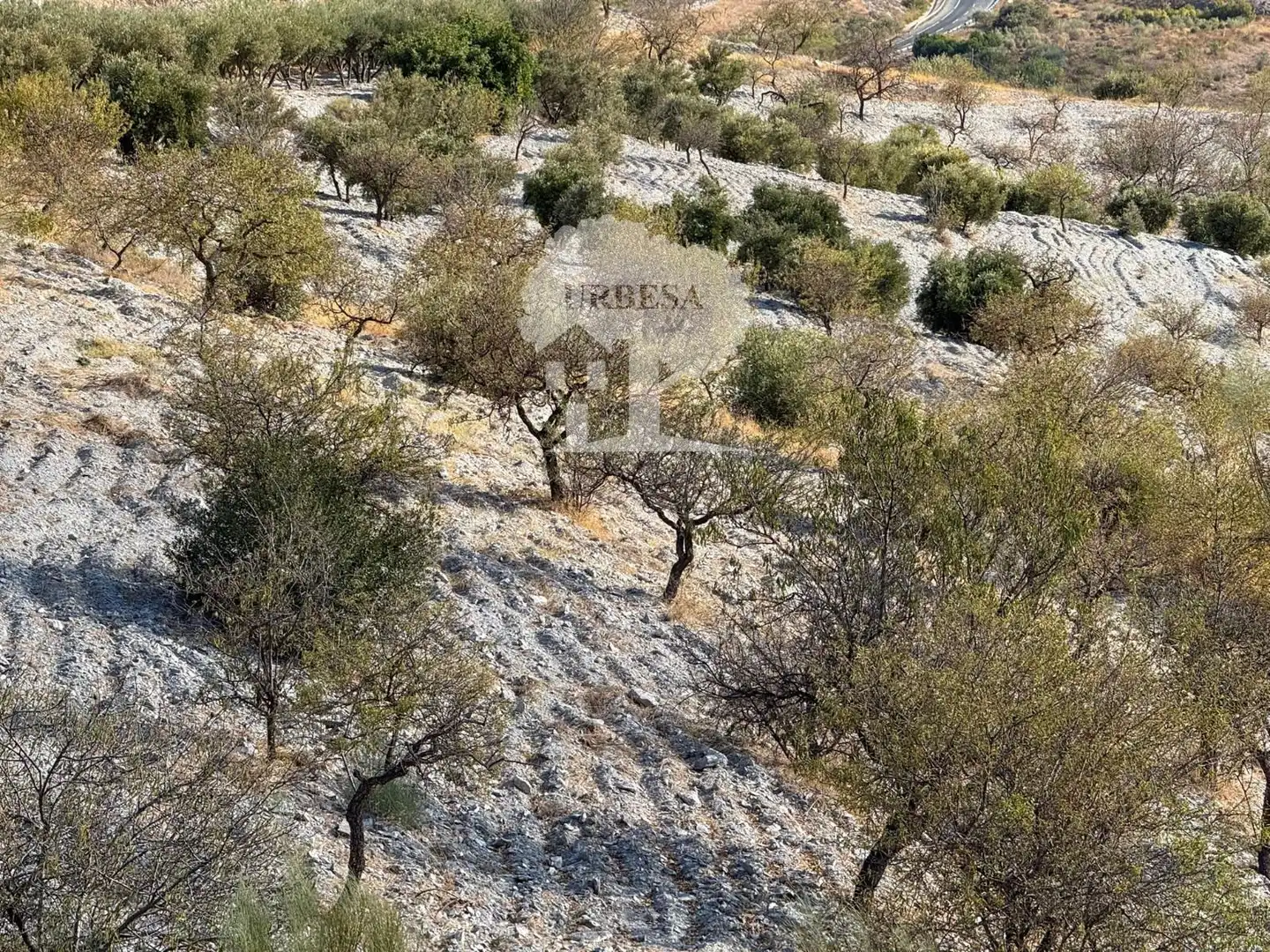 Grundstücke zum Verkauf in Vélez de Benaudalla