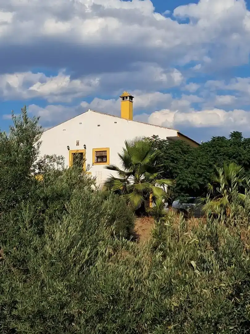 Vista exterior de Casa o chalet en venta en Montoro