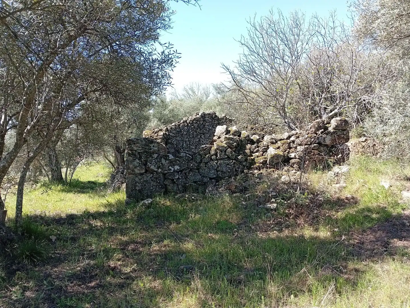 Terreni e lotti in vendita a Valverde de la Vera, imagen 45