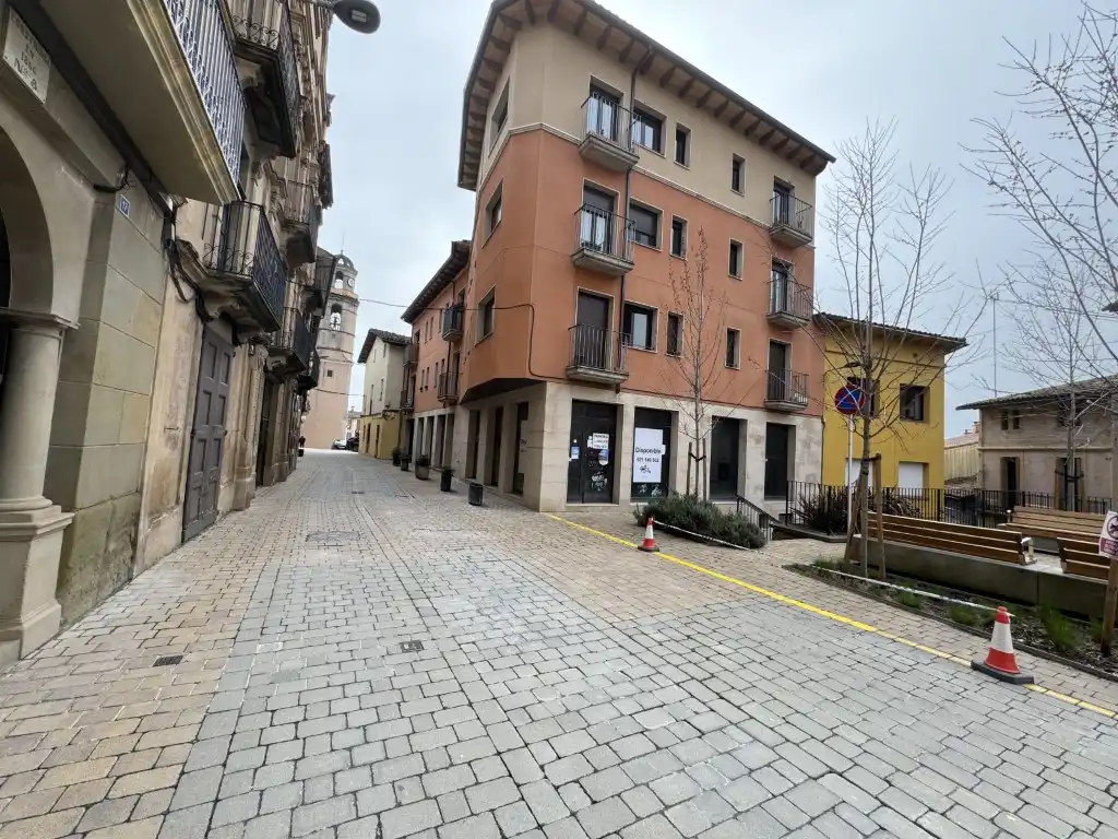 Exterior view of Commercial properties for sale in Sant Hipòlit de Voltregà