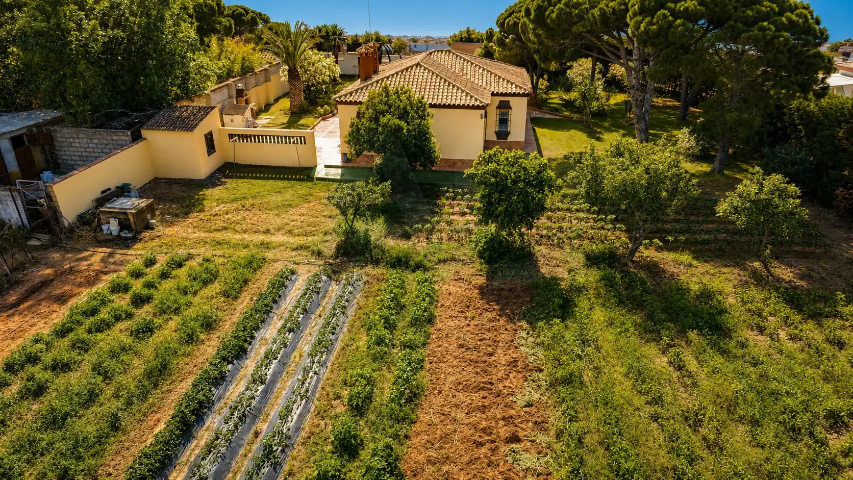 Chalet en venta en Calle Erizo 15, imagen 6