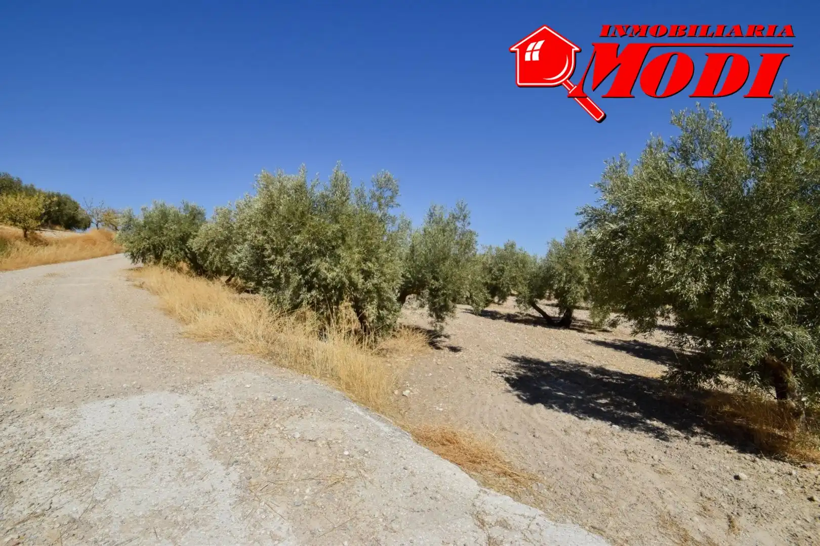Finca rústica en venda en Cacín amb Jardí privat