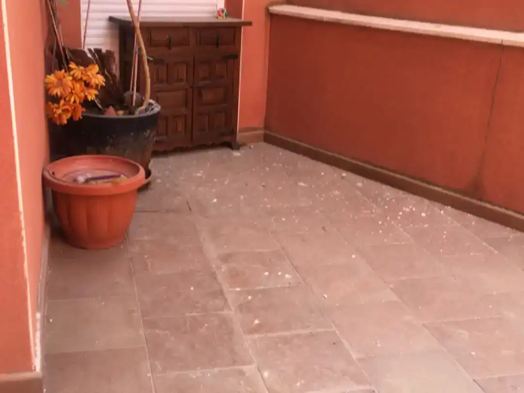 Jardín de Casa o chalet en venta en Torrijos con Balcón