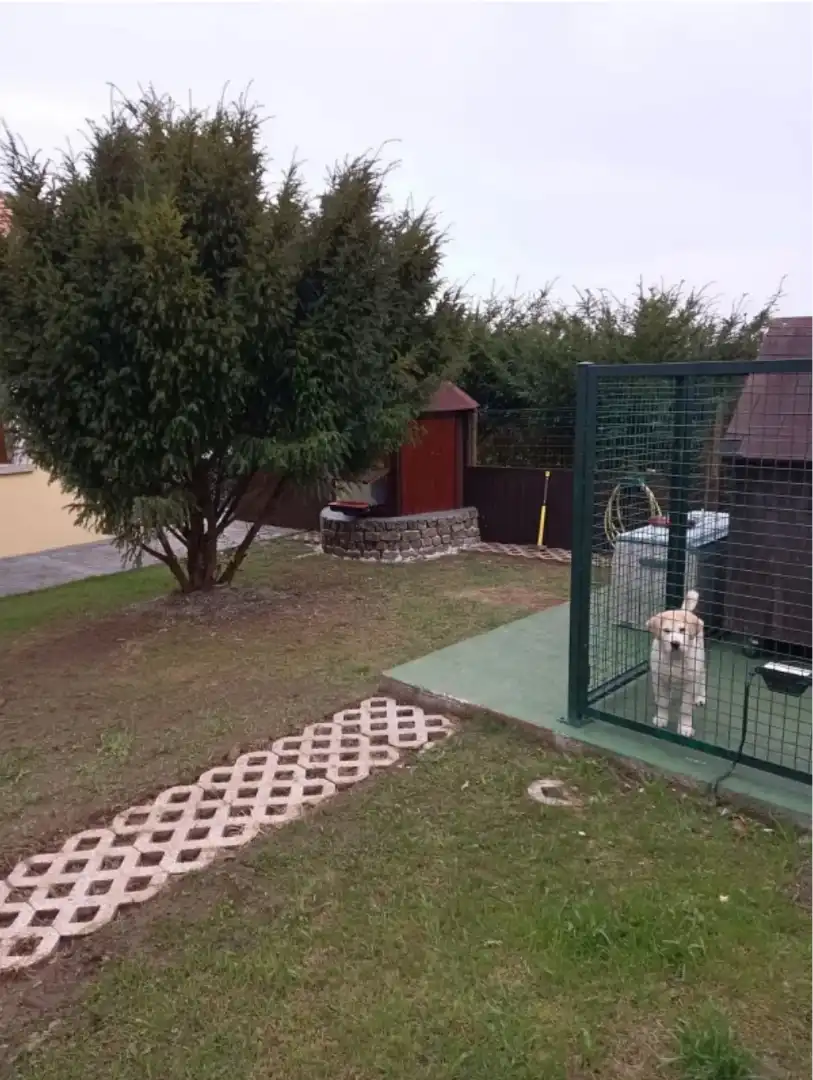 Detached house with garden for sale in Cedeira, imagen 20