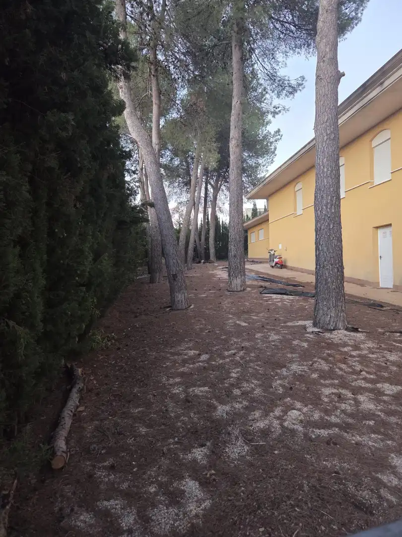 Villa avec terrasse à vendre à Avinguda de les Neveres, imagen 5