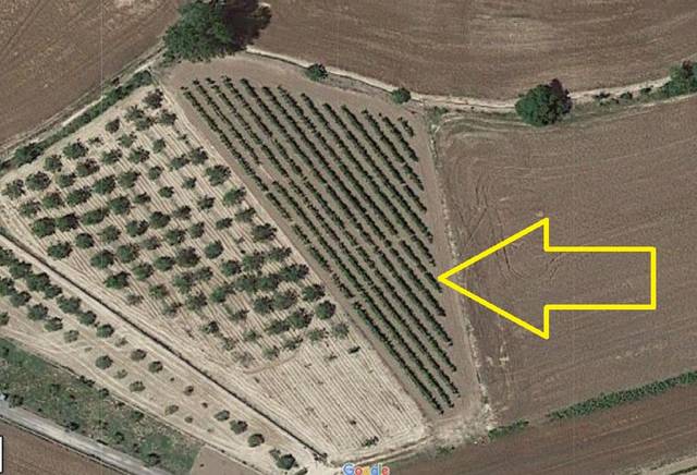 Terreno en Venta en Agoncillo