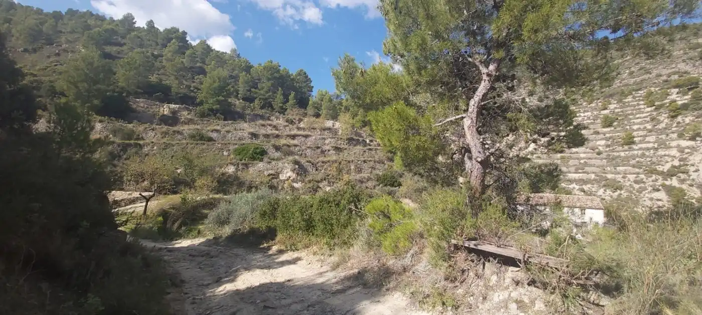 Terrenys i solars en venda a Relleu, imagen 7