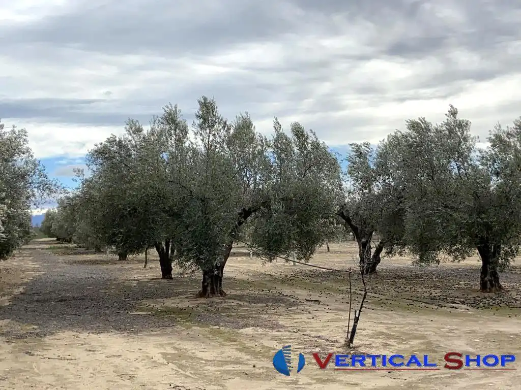 Casa o chalet en venta en Caudete