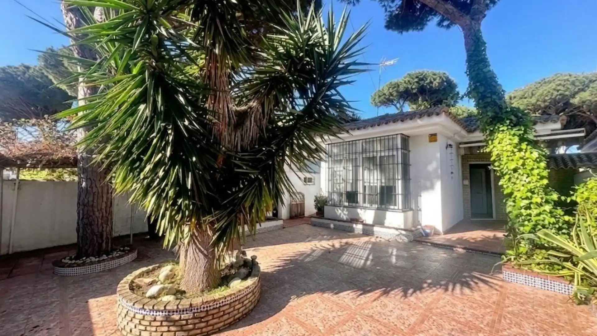 Finca rústica en venta en La Barrosa