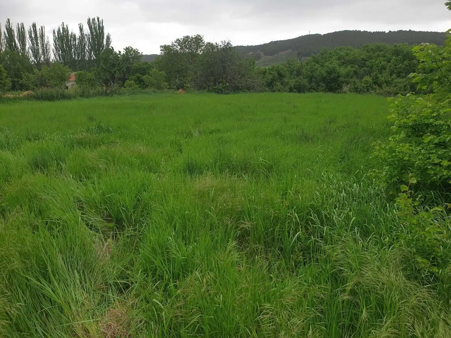 Terreno en venta en Munébrega