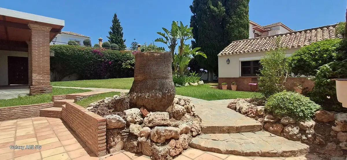 Jardín de Casa o chalet en venta en Marbella con Terraza y Piscina
