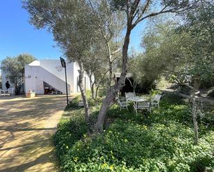 Garden of House or chalet for sale in Manacor