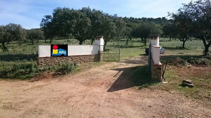 Land for sale in Salorino