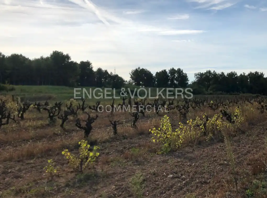 Fabrik Grundstücke zum Verkauf in Avinyonet del Penedès