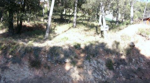 TERRENO VENTA ZONA EL PINOS, immagine 2