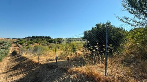 Terrenos en venta en Martos, immagine 3