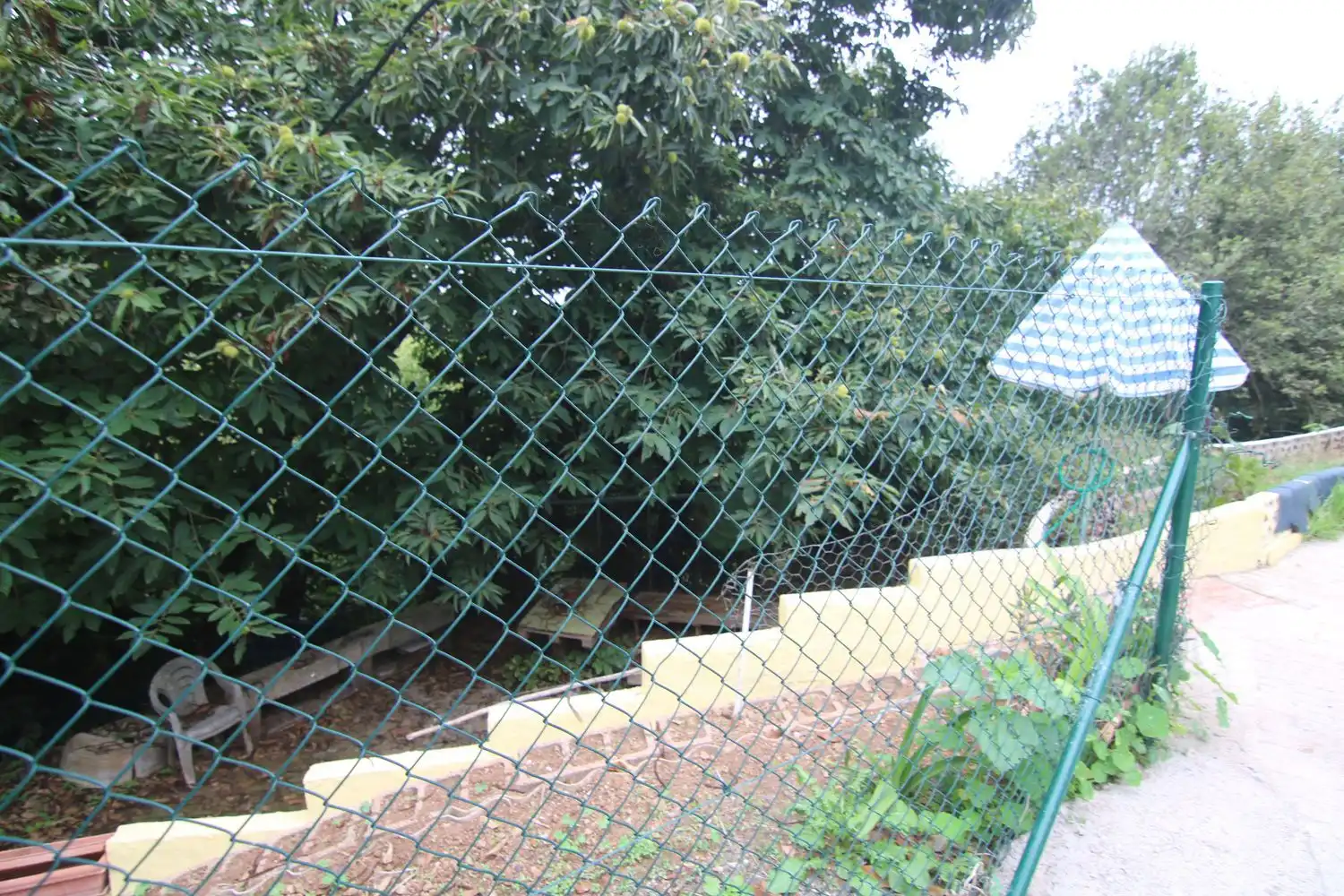 Jardí de Finca rústica en venda en Valleseco