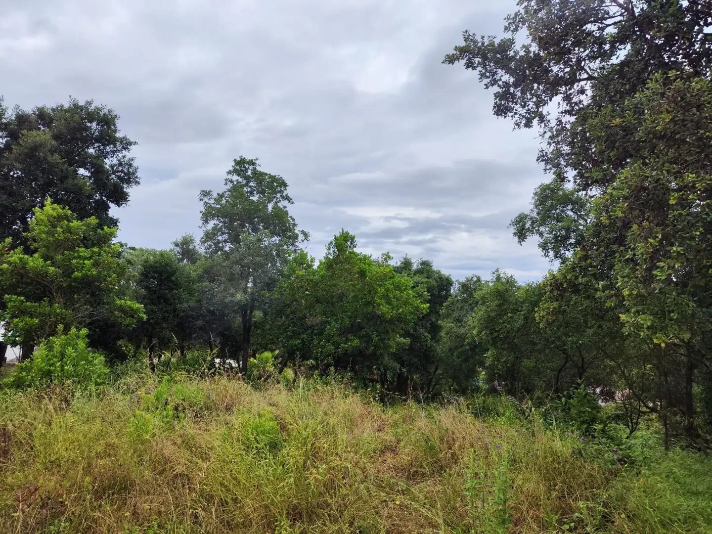 Lands and plots for sale in Llagostera