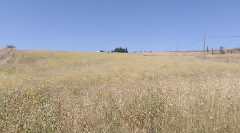 Foto 3 de Finca rústica en venda a Partidas Sur, Málaga