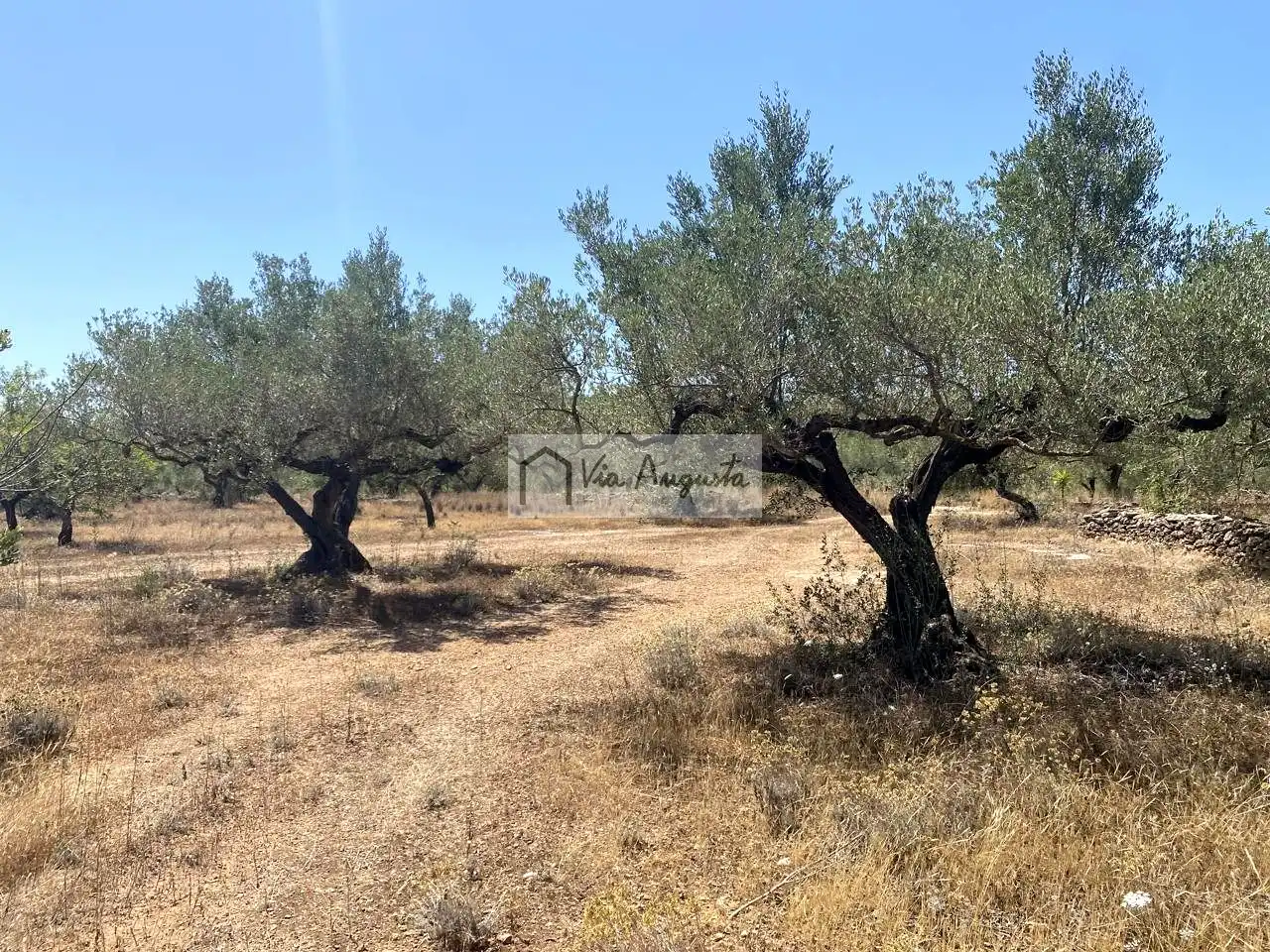 Terreno rustico in vendita a Bordes, imagen 12