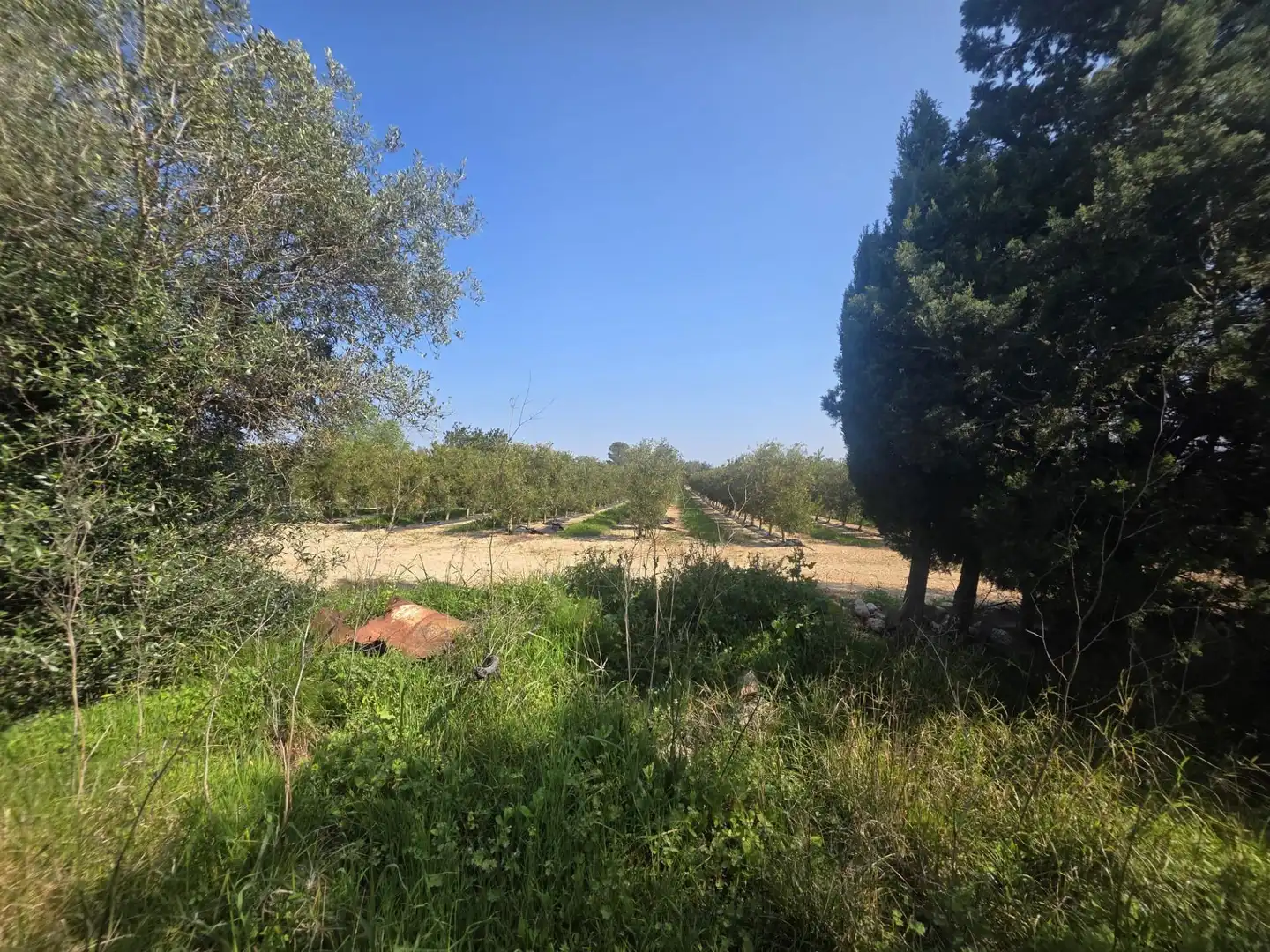 Terreno rustico in vendita a del Polígon Industrial 'La Ravaleta', imagen 24