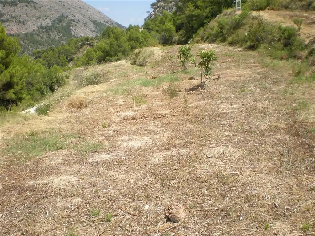Terreno en venta en Callosa d'en Sarrià