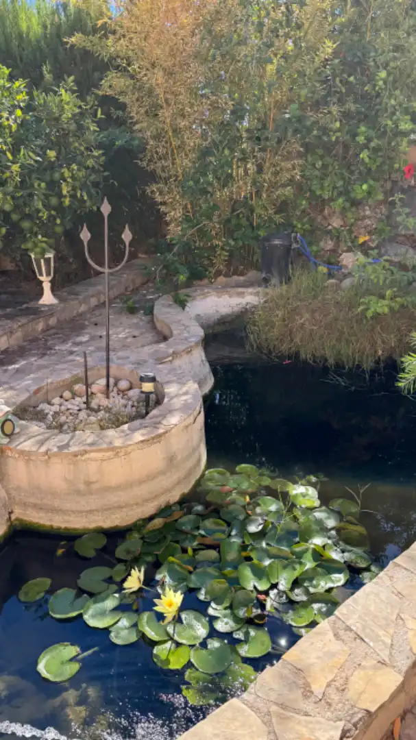 Villa con piscina in vendita a Partida Maryvilla, imagen 6