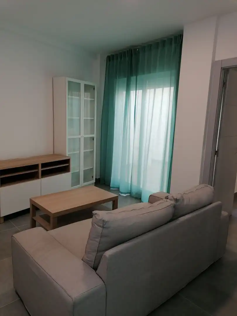 Living room of Apartments for rent in Algeciras  with Furnished