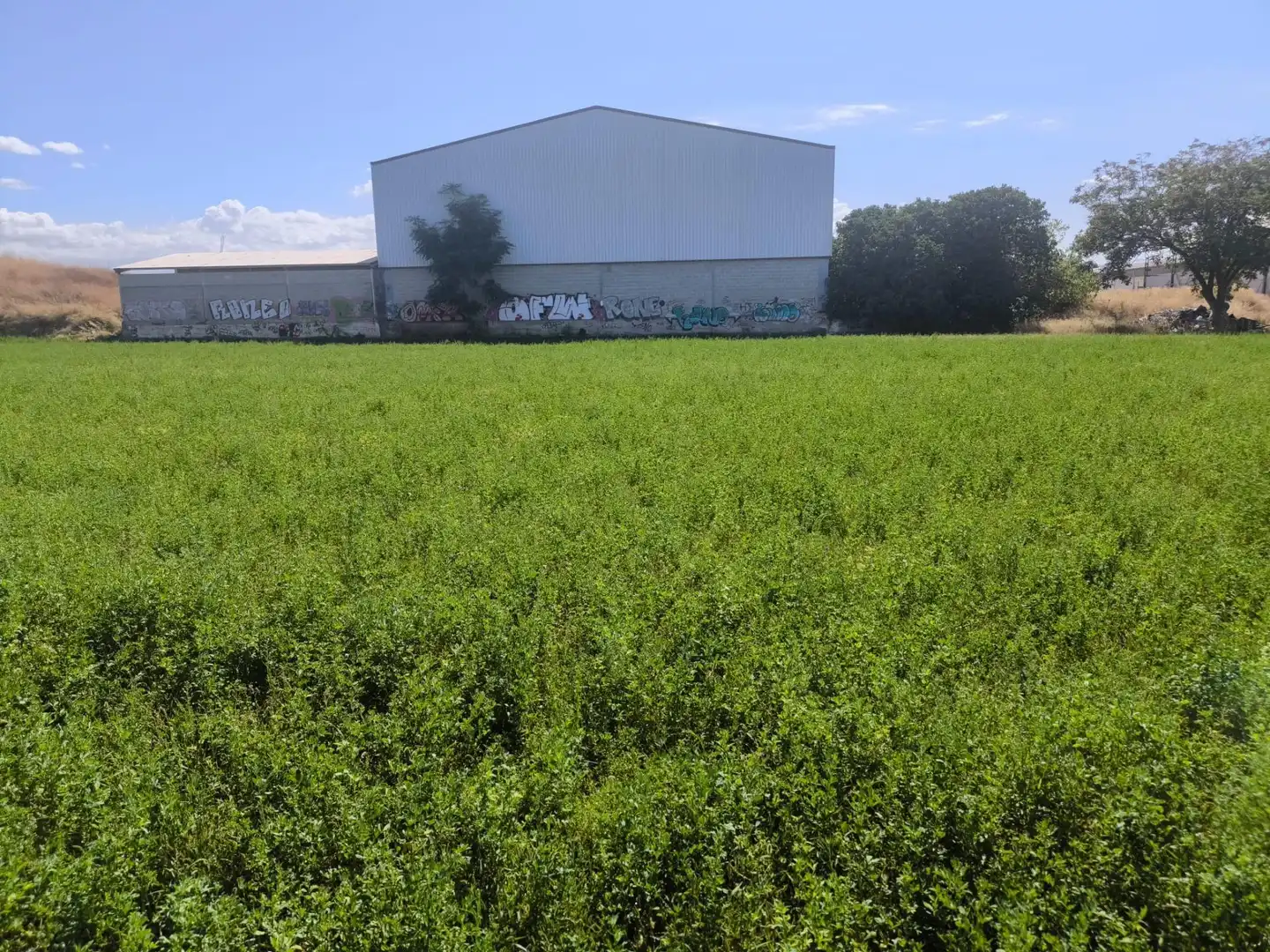 Industrial land for sale in Maracena, Granada