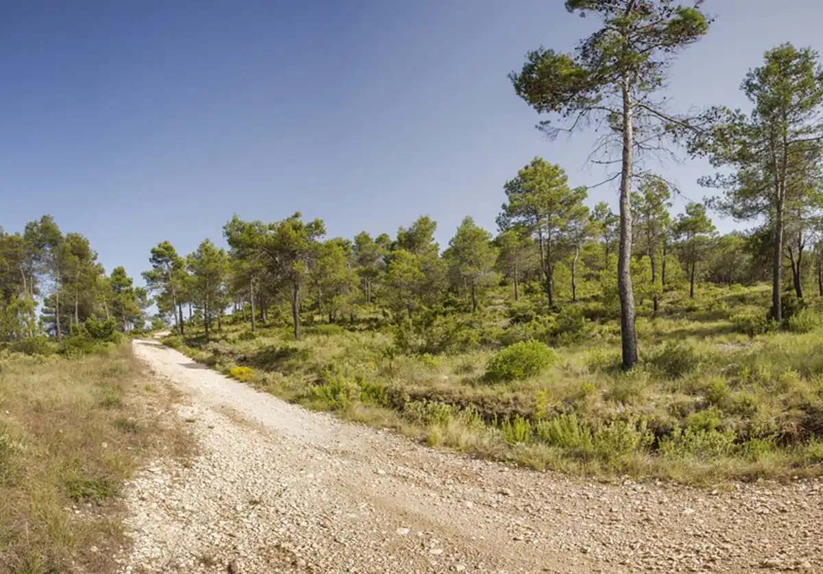 Residencial en venta en La Vall d'Alcalà