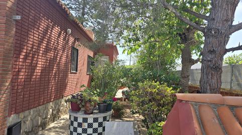 Foto 3 de Casa o xalet en venda a Camí de la Plana, 106, Pau Lledó, Castellón