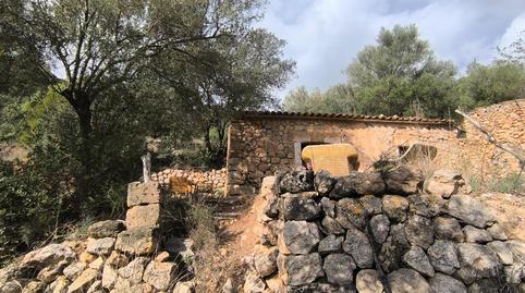 Foto 3 de Finca rústica en venda a Andratx pueblo, Illes Balears